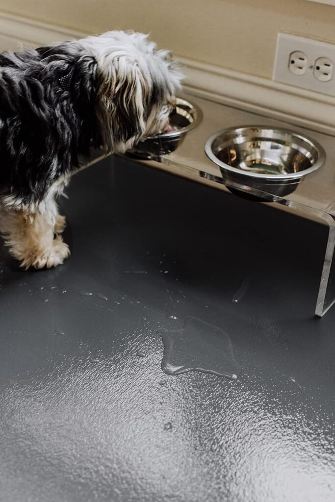 Dog-Approved Flooring