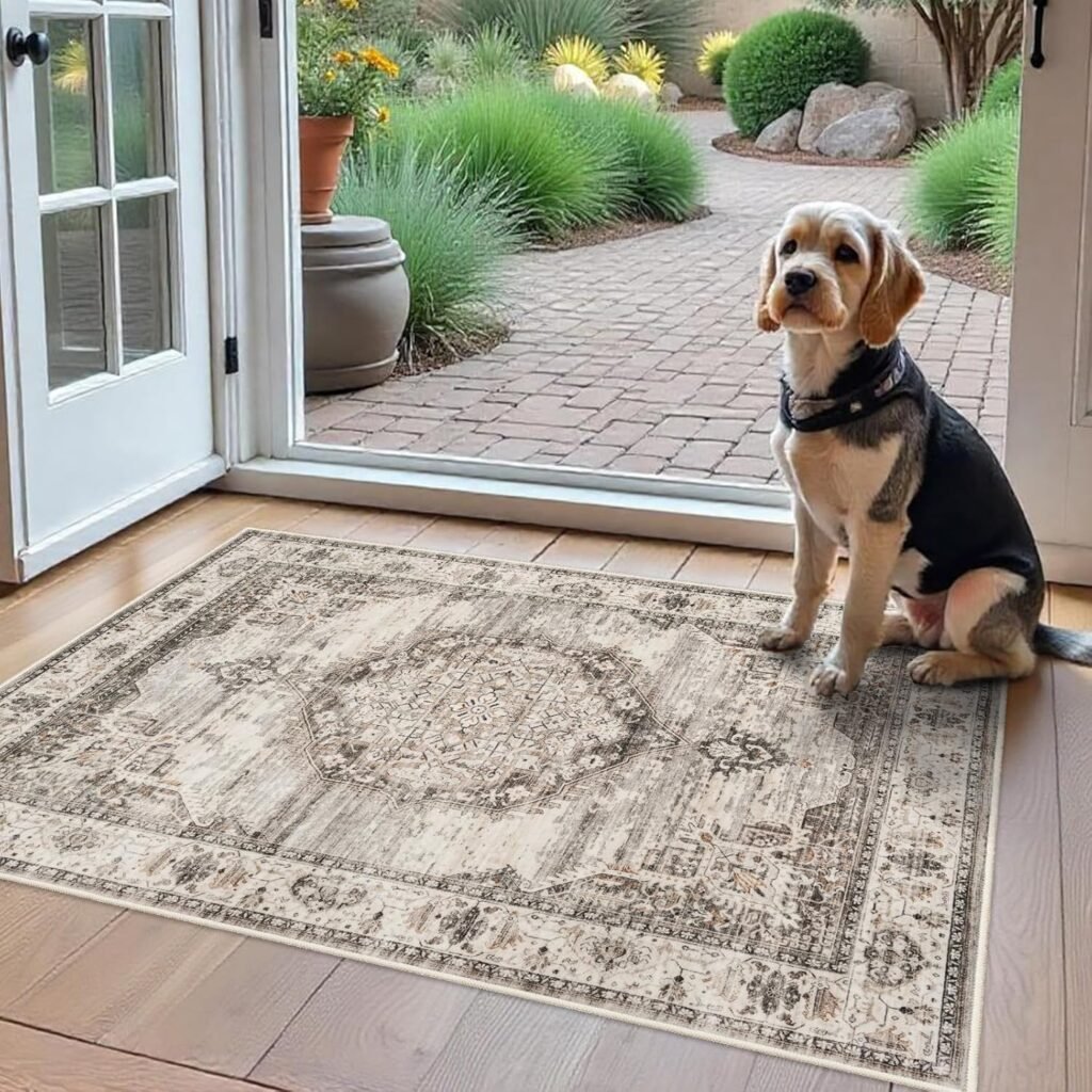 Washable Area Rugs & Mats