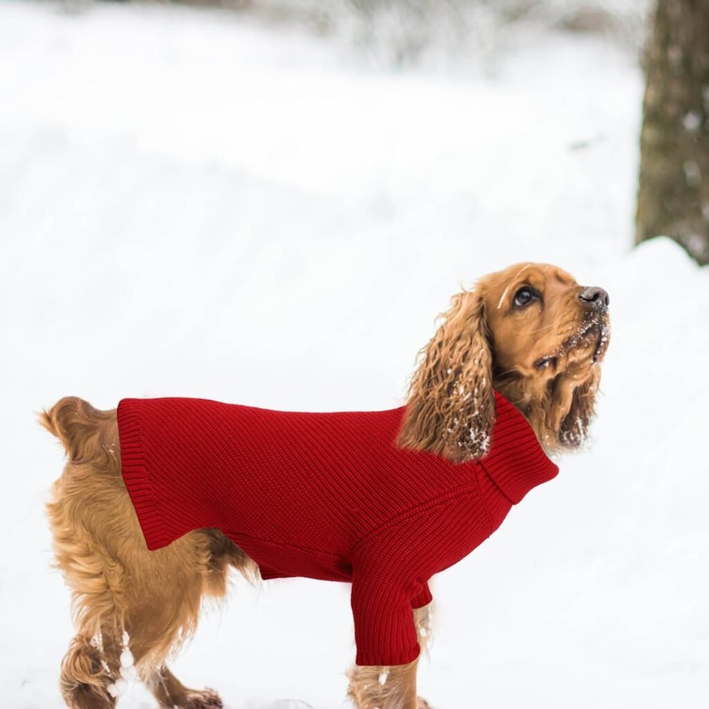 Cable Turtleneck Sweater