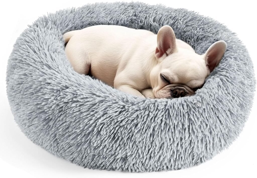 Comfortable Dog Beds Best Dog Toys and Accessories featuring Comfortable Dog Beds