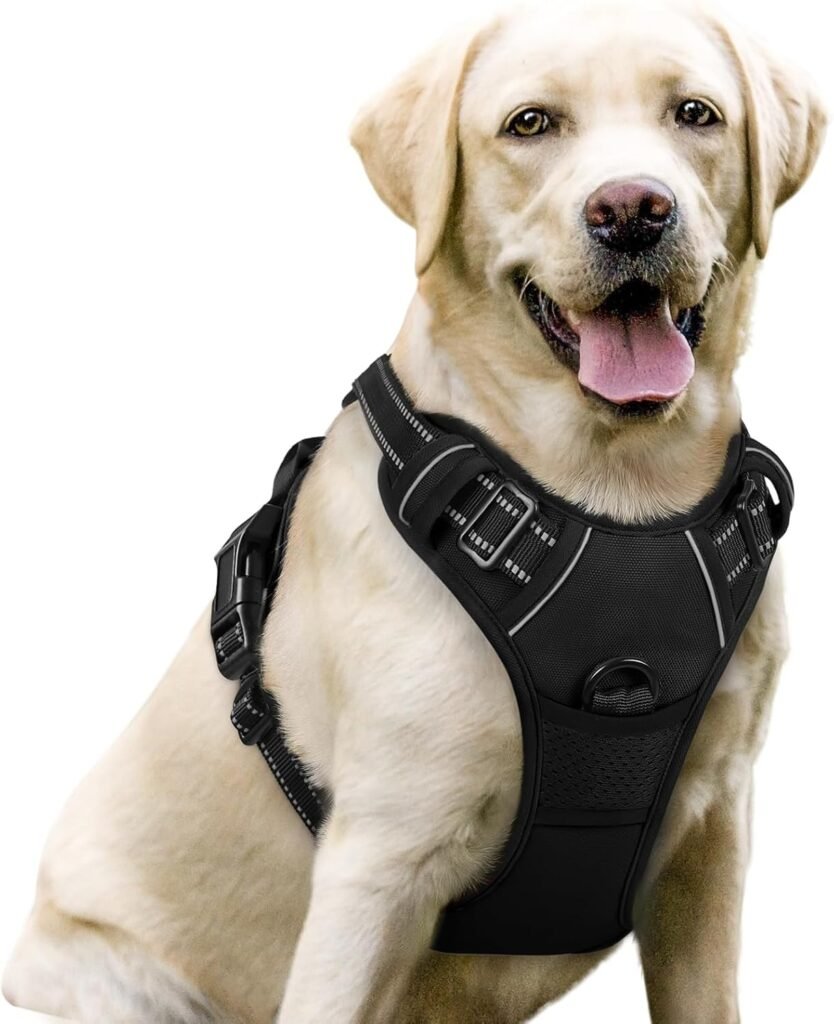 Dog Collars and Leashes