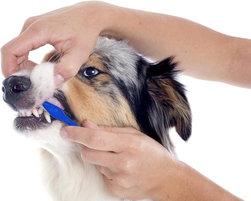 Dog Toothbrush