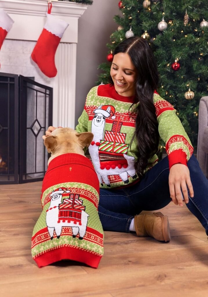 Festive Holiday Sweater