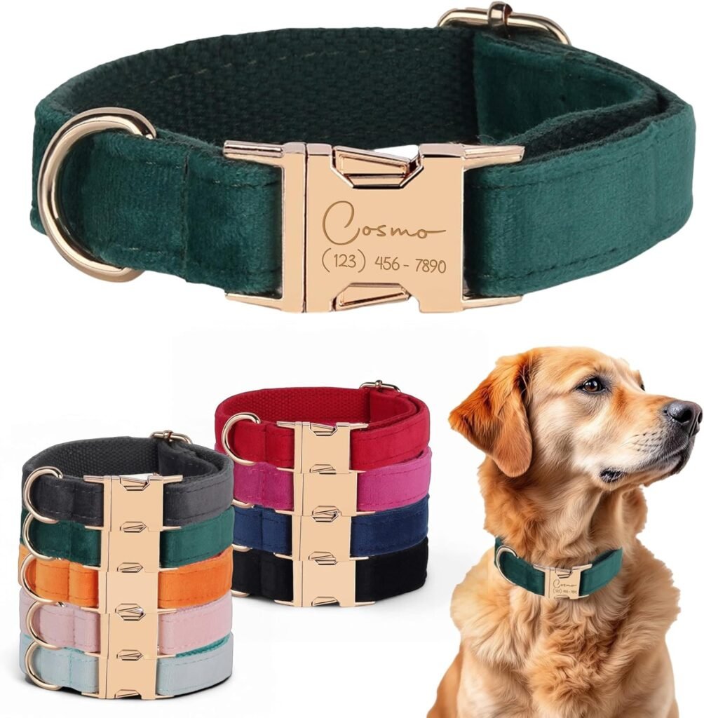 Hermès Leather Dog Collar and Leash Set