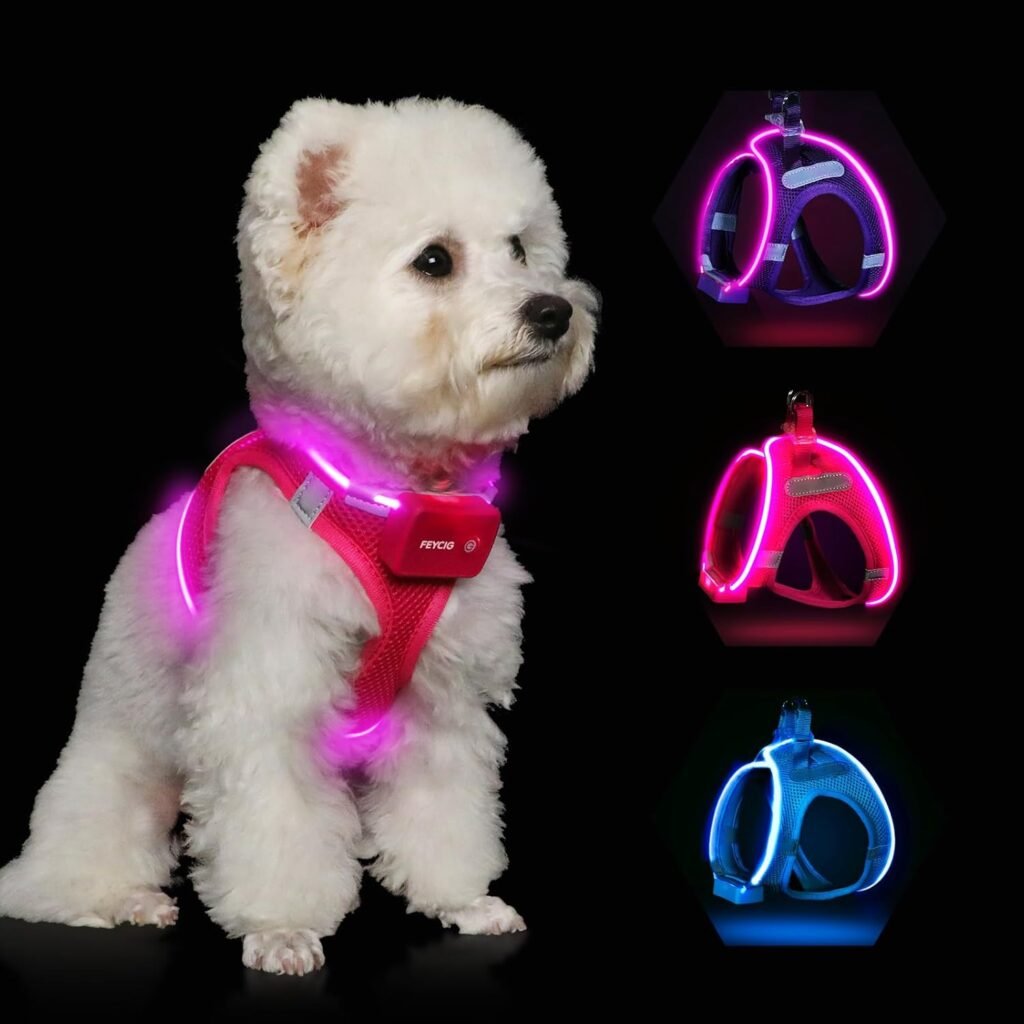 Safety Gear (LED Collars, Reflective Vests) Best Dog Toys and Accessories featuring Safety Gear (LED Collars, Reflective Vests)