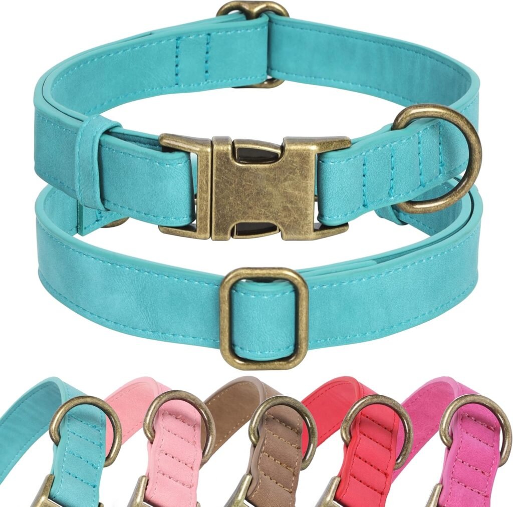 Tiffany & Co. Silver-Plated Dog Collar and Leash