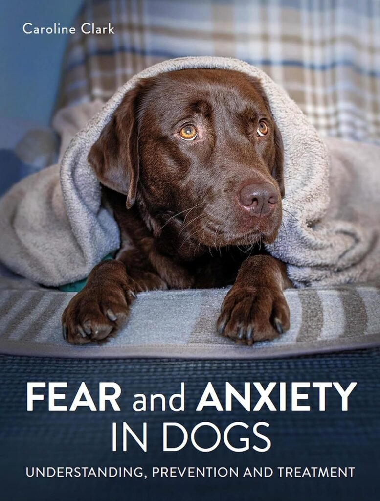 Common Causes of Dog Anxiety