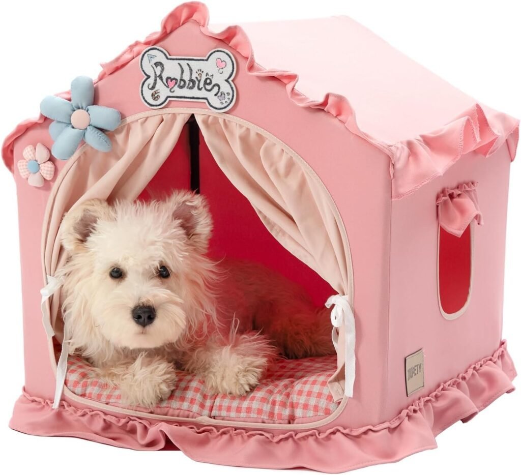 Indoor Dog House Design