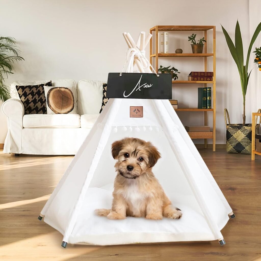 Modern Dog Houses for Apartments featuring Indoor Dog Teepee
