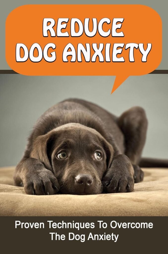 Preventing Dog Anxiety
